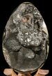 Septarian Dragon Egg Geode - Black Crystals #55493-1
